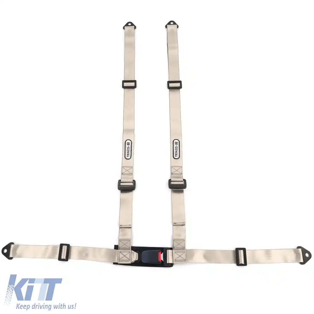 Centura de siguranță Tenzo-R Sport cu 4 puncte, gri argintiu, cu marcaj E-image-6276137