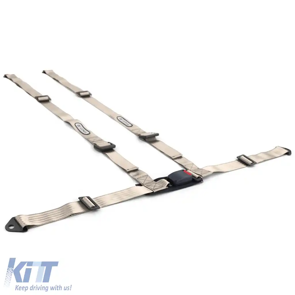 Centura de siguranță Tenzo-R Sport cu 4 puncte, gri argintiu, cu marcaj E-image-6276138