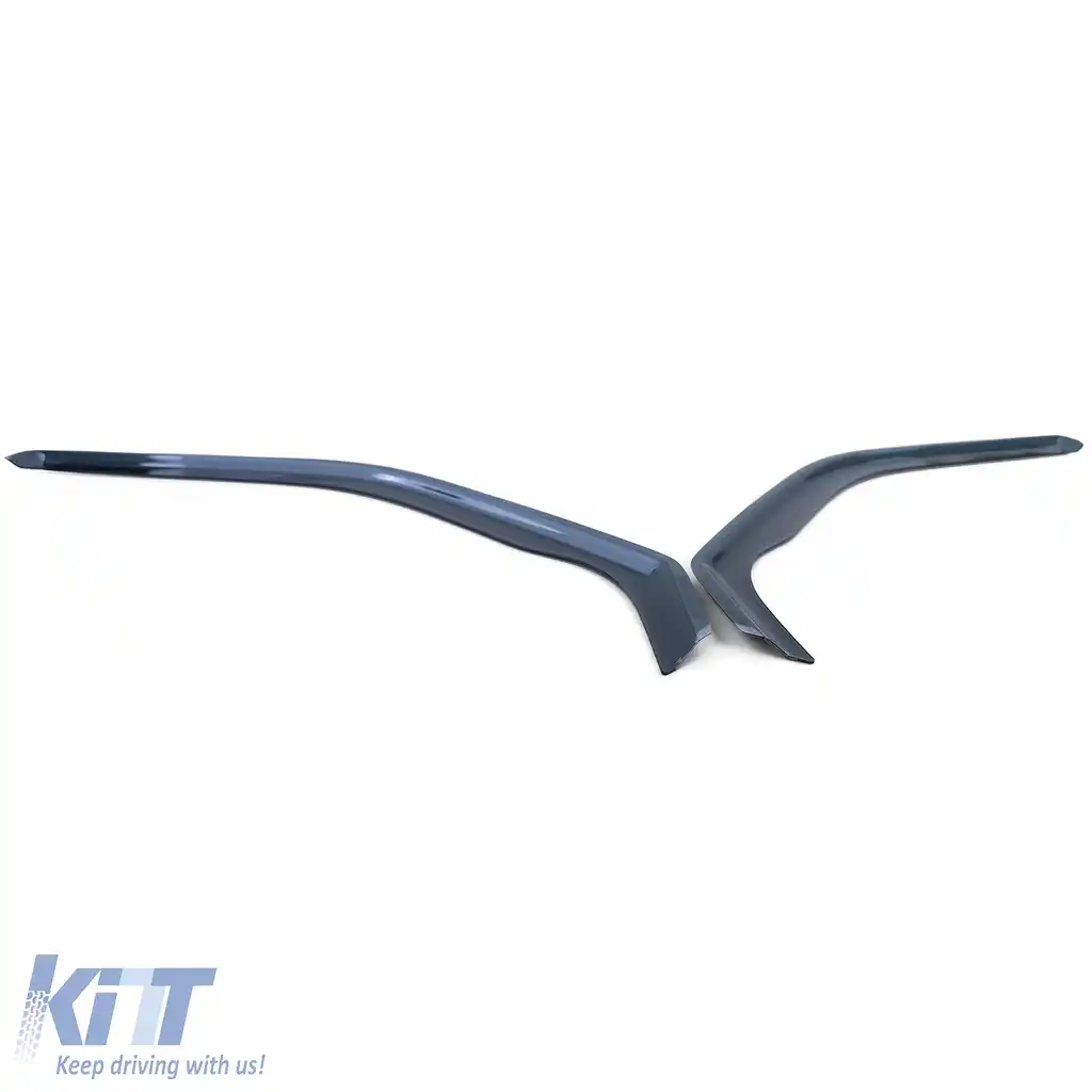 Deflector de vânt, protecție împotriva ploii, protecție împotriva vântului, negru fum pentru VW Bus T5 T6 din 03-image-6203978