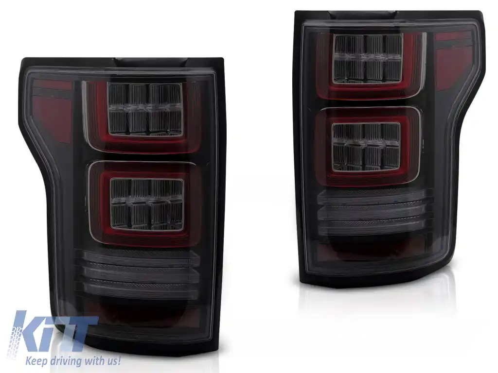 FORD F150 MK13 14-20 LED fumurie