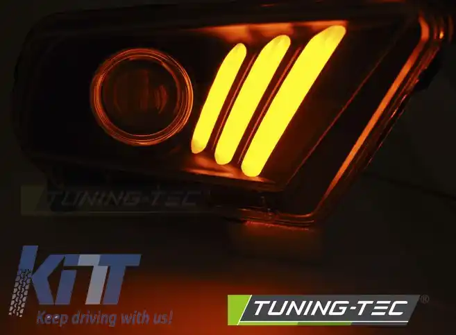 FORD MUSTANG V 10-13 TUBUL LUMINOS NEGRU-image-6267257