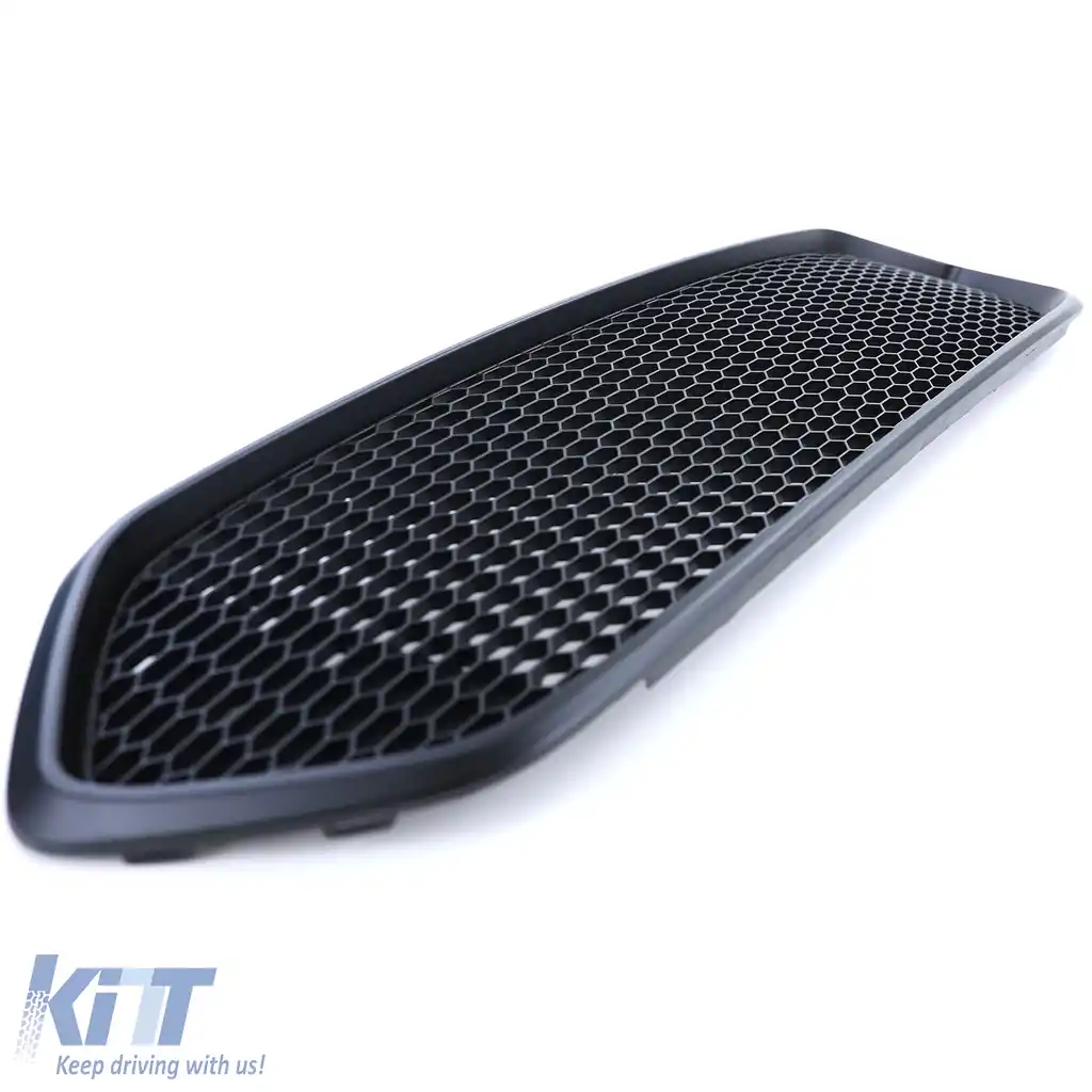 Grilaj sport din fagure curat, potrivit pentru Ford Tourneo + Transit Custom 18-23-image-6203127