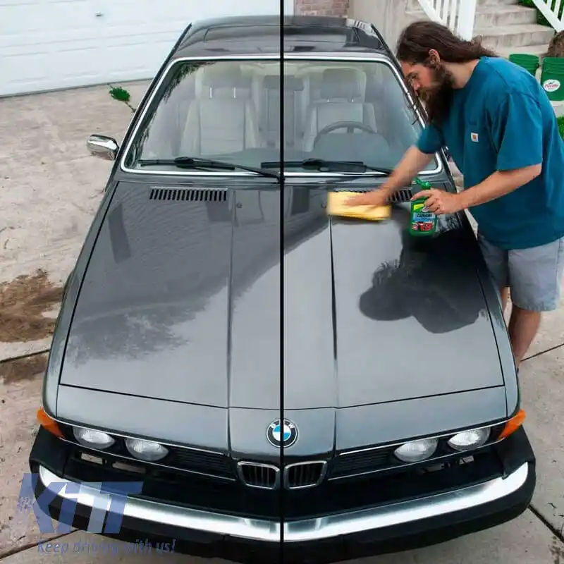 Polish & Protect Carnauba Turtle Wax 500ml 055850117-image-6303163