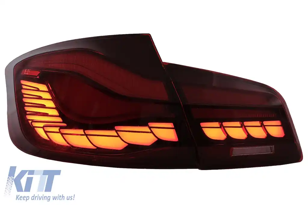 Stopuri OLED compatibil cu BMW Seria 5 F10 (2011-2017) Rosu Clar cu semnal dinamic-image-6096132