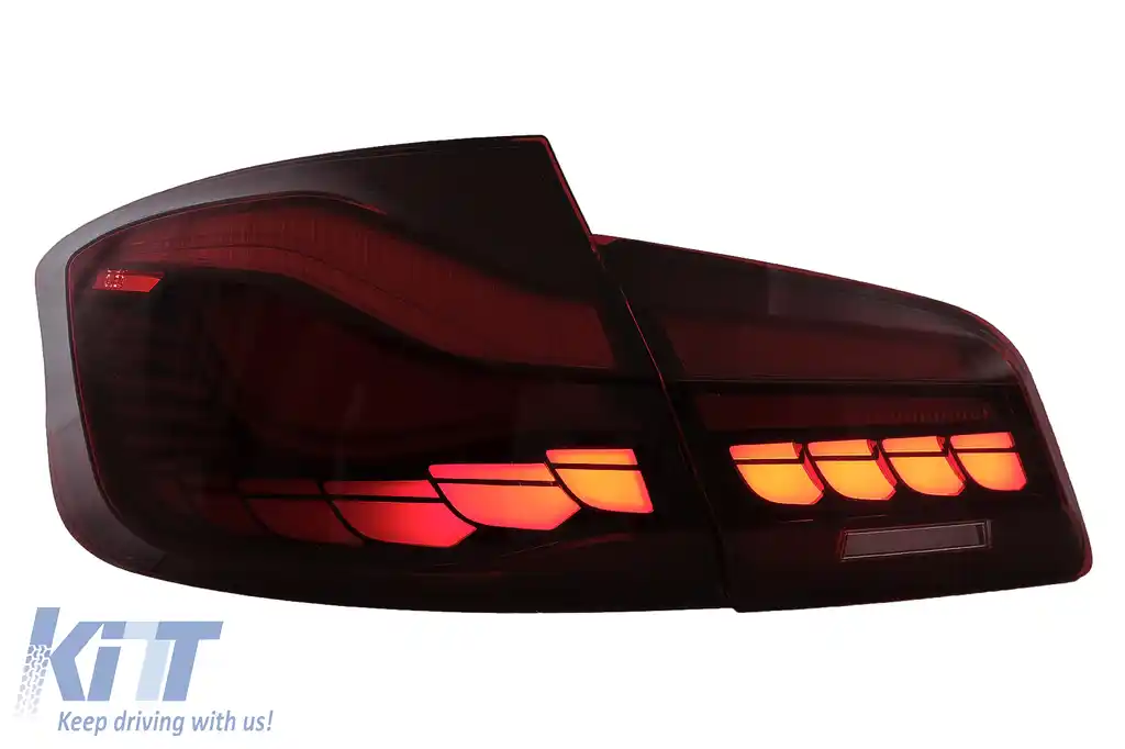 Stopuri OLED compatibil cu BMW Seria 5 F10 (2011-2017) Rosu Clar cu semnal dinamic-image-6096133