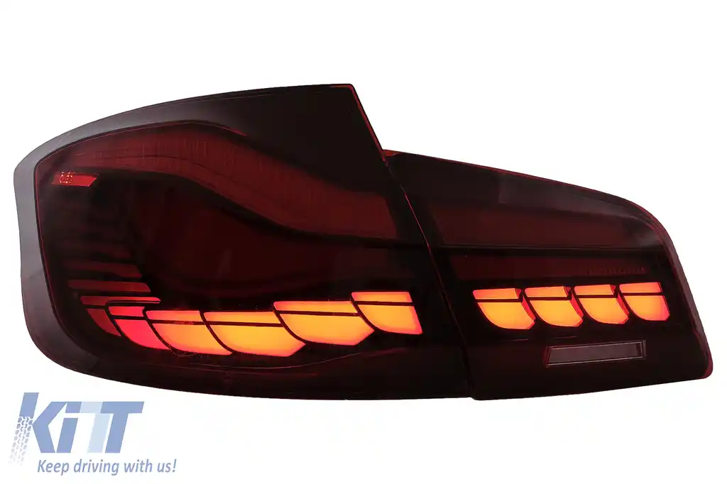 Stopuri OLED compatibil cu BMW Seria 5 F10 (2011-2017) Rosu Clar cu semnal dinamic-image-6096134